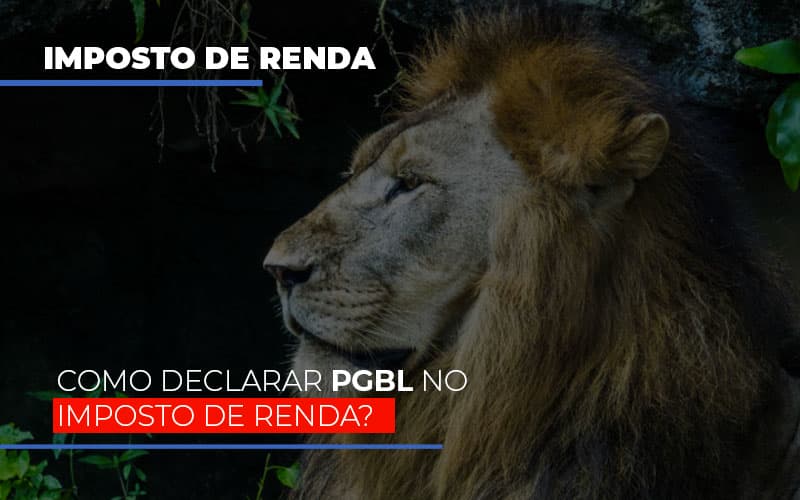 Ir2020:como Declarar Pgbl No Imposto De Renda - Contabilidade em Nova Iguaçu - RJ | AS Calvete Contabilidade